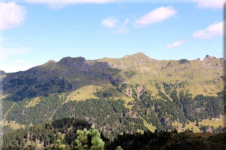 foto Forcella Pala del Becco